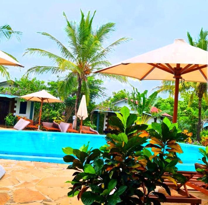 African Dream Cottages - Diani Beach Exteriér fotografie