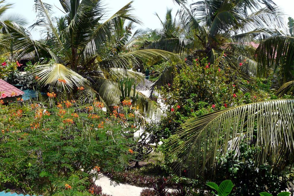 African Dream Cottages - Diani Beach Exteriér fotografie